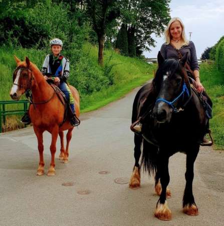 Zum Vergrößern ins Bild klicken